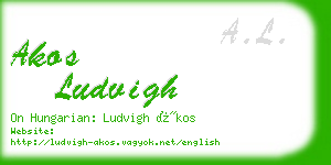 akos ludvigh business card